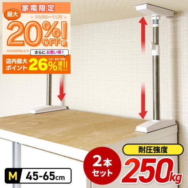突っ張り棒 2本組 Mサイズ ステンレス 家具転倒防止 耐震棒 伸縮棒 伸縮可能 防災 耐震 地震 ...