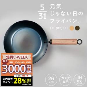 元気じゃない日のフライパン ih対応 ガス火対応 26cm 鉄フライパン 日本製 女性 はじめの 軽量 軽い 調理器具 ギフト 鉄 深型 卵焼き 藤田金属 爆買