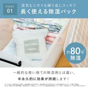除湿剤 乾っとソフトパックドライ テイジン 抗...の詳細画像4