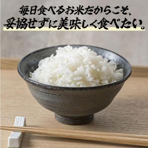 電子レンジ ごはん釜 竹泉釜 レンジでご飯 か...の詳細画像1