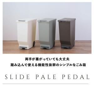 ゴミ箱 45リットル 2個 おしゃれ 分別 ス...の詳細画像1