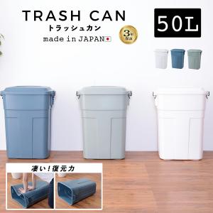 ゴミ箱 ふた付き 50リットル 50Lトラッシュカン 分別 大容量 耐久 耐寒 防水 ダストボックス おしゃれ 屋外 シンプル フタ付き ロック付き 東谷 LFS-936｜便利な雑貨屋アットケア