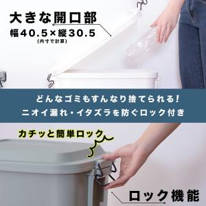 ゴミ箱 分別 屋外 50l ごみ箱 ダストボッ...の詳細画像5