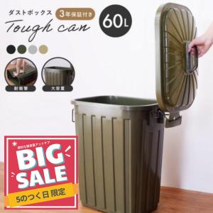 ゴミ箱 分別 屋外 60l ごみ箱 ダストボック...の商品画像