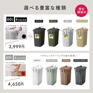 ゴミ箱 分別 屋外 60l ごみ箱 ダストボッ...の詳細画像2