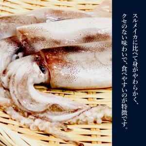 あたりめ するめ 無添加 200g 送料無料 ...の詳細画像5