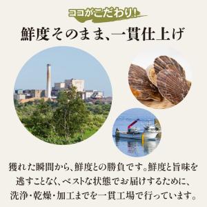 北海道産 一夜干ソフト帆立 300g 送料無料...の詳細画像4