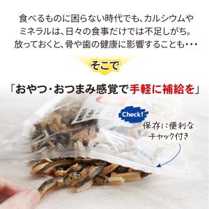 小魚アーモンド 割れ カシューナッツ 270g...の詳細画像5