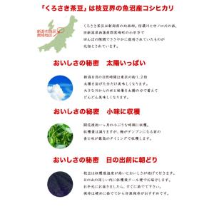 朝採り 枝豆 1kg 新潟くろさき産「黒埼枝豆...の詳細画像3