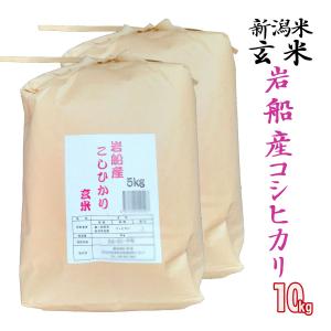 玄米 10kg(5kg×2) 岩船産 コシヒカリ (新潟米 お米 令和5年産 R5)｜atechigo