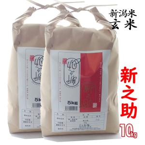 玄米 新之助 10kg(5kg×2) 新潟産(新潟米 お米 令和5年産 R5)｜atechigo
