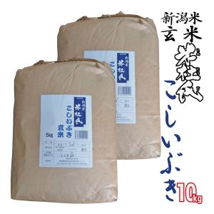 玄米 10kg こしいぶき 新潟産10kg(5kg×2)「米杜氏」契約栽培米 (新潟米 お米 令和5年産 R5)｜atechigo