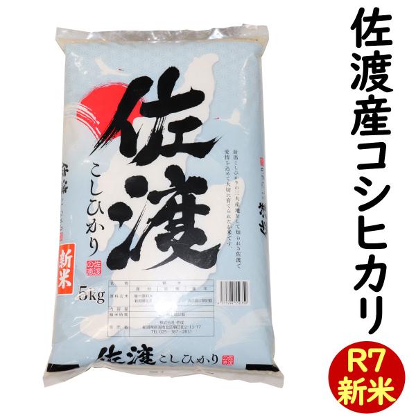白米 新潟県 佐渡産 コシヒカリ 5kg (新潟米 お米 R7)