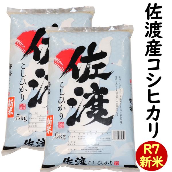 白米 新潟県 佐渡産 コシヒカリ 10kg(5kg×2) (新潟米 お米 R7)