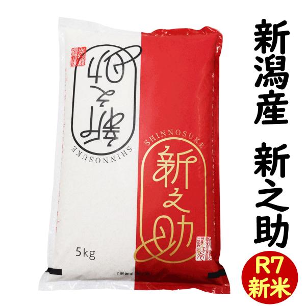 白米 5kg 令和7年産 新潟産 新之助 (新潟米 お米)