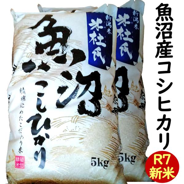 白米 魚沼産 コシヒカリ 10kg(5kg×2) (十日町指定) こだわりのお米 「米杜氏」 (新潟...