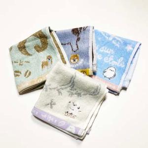 鉄道グッズ 寝台特急カシオペア デザイン タオルハンカチ : 鉄道グッズ