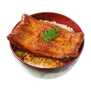 ［新品］うなぎ 2枚 鰻重 食品サンプル　15cm×12cm Amazon.co.jp: 食品サンプル屋さんのマグネット（うな重）【食品