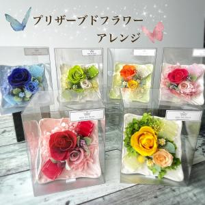 ナチュラルスワッグ プリザーブドフラワー ラベンダー 大判草 コットン