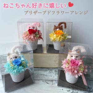 アニマルプリザ(プリザーブドフラワー) ねこ : NEXT! - 通販 - Yahoo