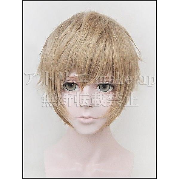 【カゲロウプロジェクト コスプレ用ウィッグ】雨宮 響也 ヒビヤ アニメ マンガ ゲーム コスプレ用品