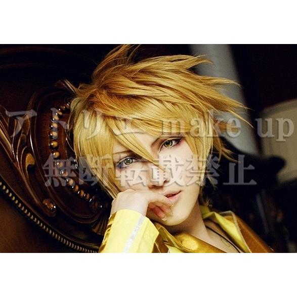 【コスプレウィッグ かつら cosplay wig】コスプレ ウィッグ ラッキードッグ1/Lucky...