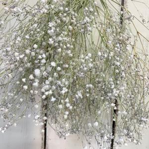 ドライフラワーかすみ草スワッグインテリア模様替...の詳細画像1