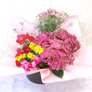 季節のおまかせ花寄せ鉢バスケットM誕生日記念日...の詳細画像1