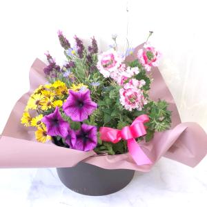季節のおまかせ花寄せ鉢バスケットM誕生日記念日...の詳細画像2