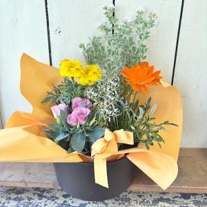季節のおまかせ花寄せ鉢バスケットM誕生日記念日...の詳細画像3
