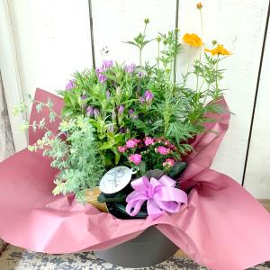 季節のおまかせ花寄せ鉢バスケットM誕生日記念日...の詳細画像5