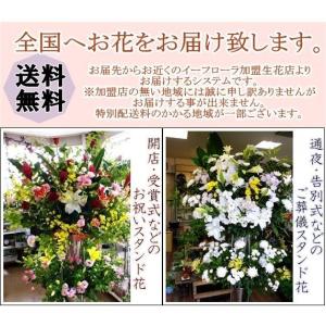 激安単価で 生花店葬儀スタンドと芝とバケツセットと名札 フラワー ガーデン Seguroactivo Cl