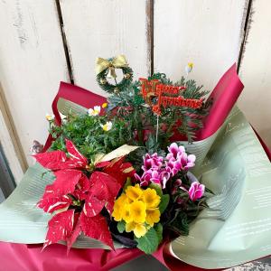 クリスマスポインセチアバスケットの詳細画像1
