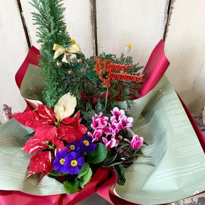 クリスマスポインセチアバスケットの詳細画像3