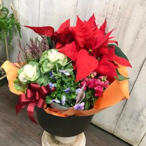 クリスマスポインセチアバスケットの詳細画像4