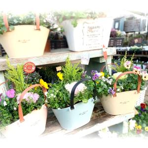 季節のおまかせ寄せ植えハンドルパステルバスケッ...の詳細画像2