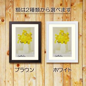 ベルナール・カトラン ピンクの背景の百日草 花 絵画 ジニア 静物画