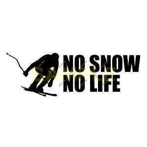 NO SNOW NO LIFE ステッカー スキー5 (Lサイズ)｜atelierdom