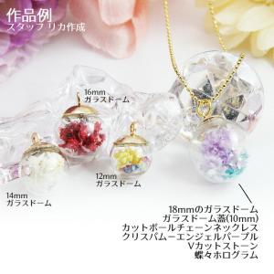 ドライフラワー クリスパム 全8色 レジン封入...の詳細画像1