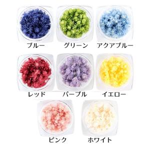 ドライフラワー クリスパム 全8色 レジン封入...の詳細画像4