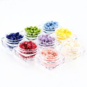 ドライフラワー クリスパム 全8色 レジン封入...の詳細画像5