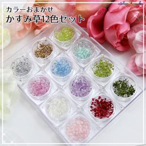 サムシングブルー花材セット 1ケース 手芸クラフト ハーバリウム