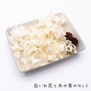 白いお花と木の実のセット 1ケース ハーバリウムやアロマワックスバー