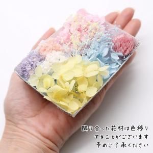 パステルスイート花材セット 1ケース ハーバリ...の詳細画像1