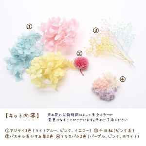パステルスイート花材セット 1ケース ハーバリ...の詳細画像2