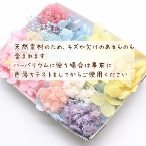 パステルスイート花材セット 1ケース ハーバリ...の詳細画像3