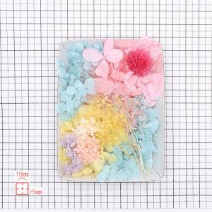 パステルスイート花材セット 1ケース ハーバリ...の詳細画像4