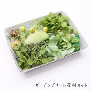 ガーデングリーン花材セット 手芸クラフト ハーバ...の商品画像