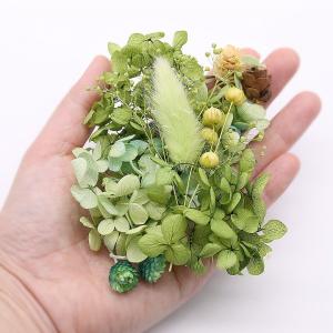 ガーデングリーン花材セット 手芸クラフト ハー...の詳細画像1