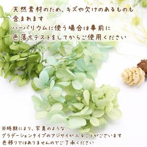 ガーデングリーン花材セット 手芸クラフト ハー...の詳細画像3